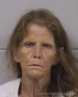 Mugshot of CONNIE JO PICKERING booked in Dickinson County, Kansas on July 19, 2026