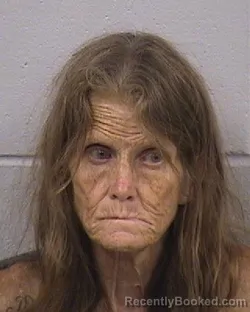 Mugshot of CONNIE JO PICKERING booked in Dickinson County, Kansas on July 23, 2026