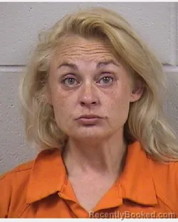 Mugshot of CHELSEY NICOLE SIMS booked in Dickinson County, Kansas on April 26, 2026