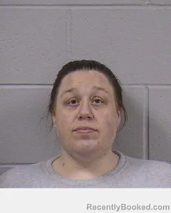Mugshot of Dougless Marie Barnes booked in Dickinson County, Kansas on October 15, 2026
