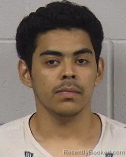 Mugshot of DENIS RUBEN MORALES-VENAGAS