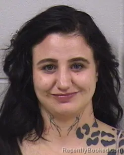 Mugshot of ELIZABETH ANN HALLOCK booked in Dickinson County, Kansas on June 7, 2026