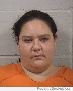 Mugshot of GINA ELYSE ALVAREZ booked in Dickinson County, Kansas on May 15, 2026