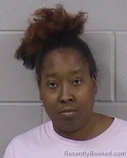 Mugshot of IMANI DASHAWN NICOLE ELLIS booked in Dickinson County, Kansas on July 15, 2026