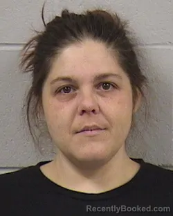 Mugshot of JESSICA LYNN OWENS