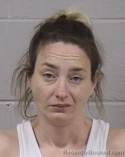 Mugshot of JESSICA NICOLE PATTERSON