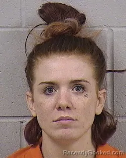 Mugshot of KAYTLAN ANN TANNER booked in Dickinson County, Kansas on April 29, 2026