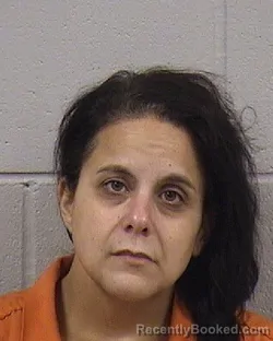 Mugshot of Leann Michelle Shelfo booked in Dickinson County, Kansas on October 14, 2026