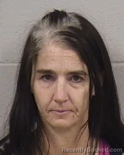 Mugshot of LAURA LEE SMITH booked in Dickinson County, Kansas on March 19, 2026