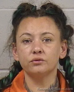 Mugshot of Madalynn Maelee Grilo booked in Dickinson County, Kansas on September 22, 2026