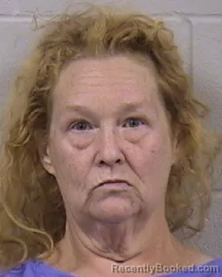 Mugshot of MICHELLE ANGILEE GARY booked in Dickinson County, Kansas on June 7, 2026