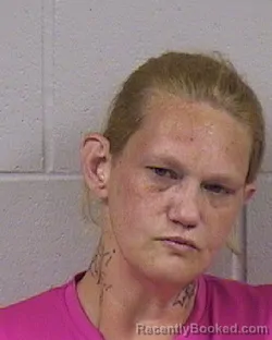 Mugshot of MIRANDA ELIZABETH PARMAN booked in Dickinson County, Kansas on June 17, 2026