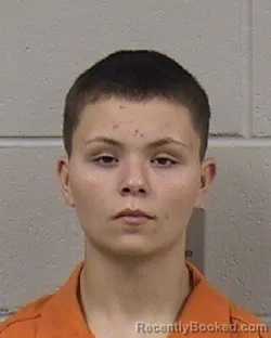 Mugshot of MYKAYLE JAYLYNN PAIGE SUTTON booked in Dickinson County, Kansas on April 8, 2026