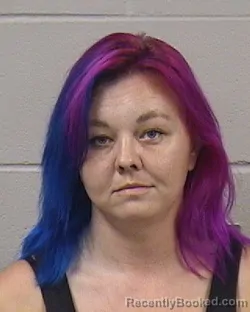 Mugshot of Natasha Lynnette Evilsizer booked in Dickinson County, Kansas on August 26, 2026
