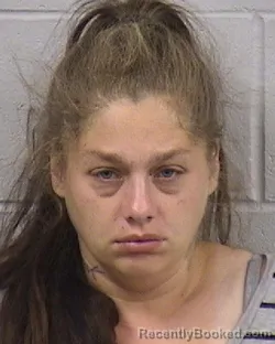 Mugshot of SHYANN MARIE KLIMASZEWSKI booked in Dickinson County, Kansas on July 14, 2026