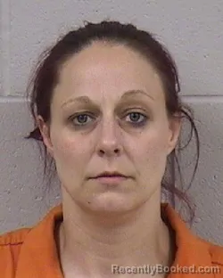 Mugshot of TEEA ASHLEY DANETTE JAMISON booked in Dickinson County, Kansas on June 23, 2026