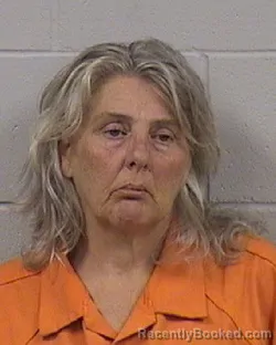 Mugshot of TONI KAY MEINHARDT booked in Dickinson County, Kansas on July 9, 2026