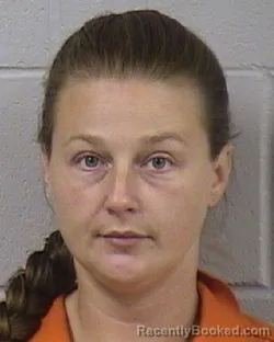 Mugshot of Tiffany Joyce Leann Stephan booked in Dickinson County, Kansas on August 20, 2026