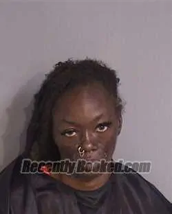 Mugshot of Alana Renae Jenkins booked in Osceola County, Florida on August 25, 2026