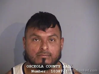 Mugshot of LUIS MIGUEL TEJEDA-BELTRAN