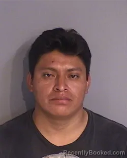 Mugshot of BYRON AJIATAS-HERRERA