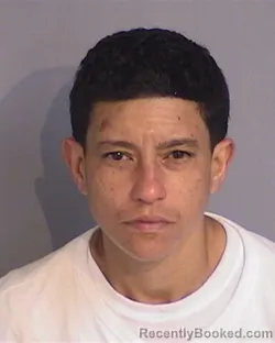 Mugshot of YARITZA CARRERO