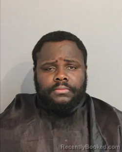 Mugshot of VLADIMIR MATHIEU