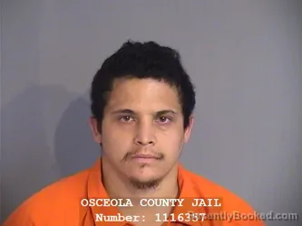 Mugshot of GIOVANIELLE FIGUEROA