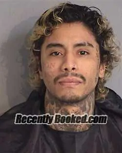 Booking photo from Osceola County, Florida