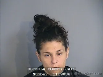 Mugshot of ERIN AYSE OZEN booked in Osceola County, Florida on June 18, 2026