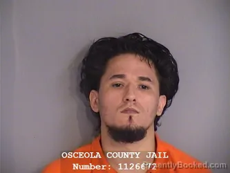 Mugshot of DAVID GONZALEZ-SANTIAGO