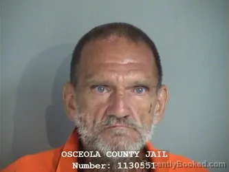 Mugshot of WAYNE EDWARD BRENGLE booked in Osceola County, Florida on July 1, 2026