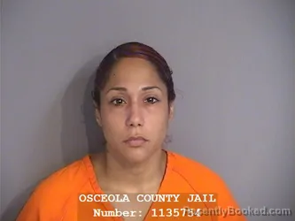 Mugshot of CHRISTINA MARIE RIVERA