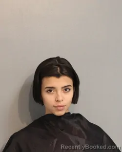 Mugshot of NAILYN VALENTINA TORRES-RAMIREZ