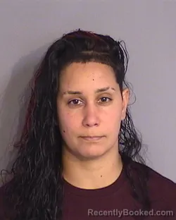 Mugshot of YANELISSE DIANNE CASTRO