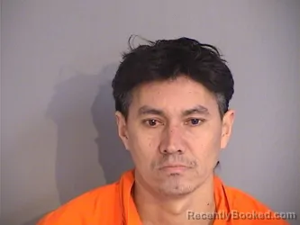 Mugshot of FREDIS MEDINA-LIZAMA