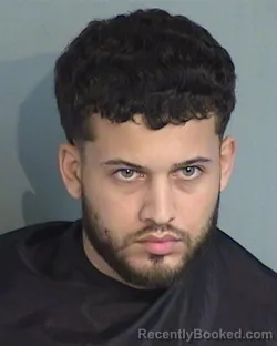 Mugshot of BRYAN LEE CABRERA-ORTIZ