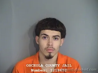 Mugshot of JOALEX EMMANUEL CARRERAS-RIVERA