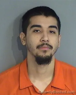 Mugshot of CARLOS MEZA