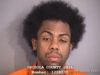 Mugshot of RONALD BUSH