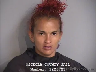 Mugshot of MARIE GESSELLIE CARABALLO-RUIZ