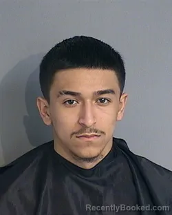 Mugshot of ANGEL TOMAS ROMAN