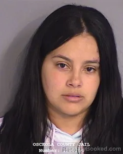 Mugshot of KIMBERLY MONTANEZ booked in Osceola County, Florida on April 25, 2026