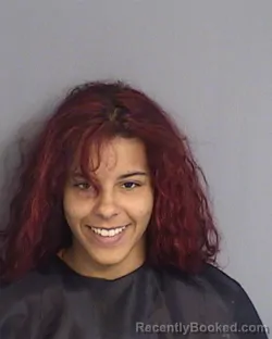 Mugshot of JOMARA ACEVEDO-DIAZ