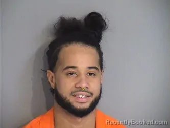 Booking photo from Osceola County, Florida