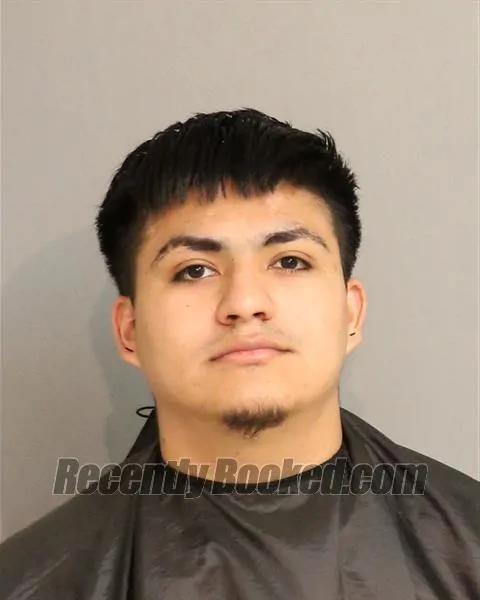 Mugshot of Edgar A Leiva-Sequeira booked in Osceola County, Florida on October 8, 2026