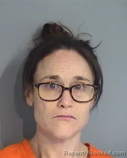 Mugshot of FAWN LEEANN MOREL