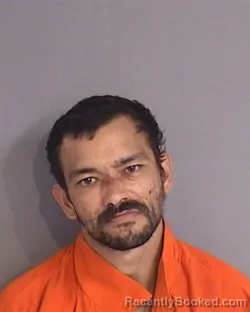 Mugshot of LOUIS MARK MICHAELS booked in Osceola County, Florida on May 13, 2026