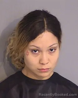 Mugshot of FERNANDA VICENTE