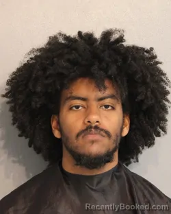 Mugshot of RAHABOT MILLION-TEMESGH TEDLA